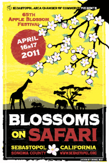 Sebastopol Apple Blossom Festival